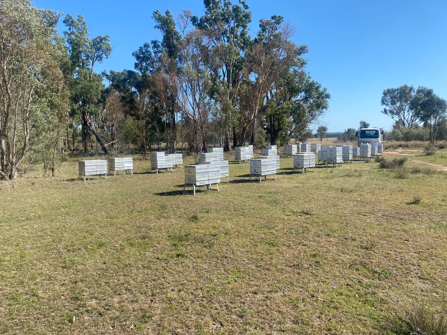 Sting-Proof Style for Modern Beekeepers
